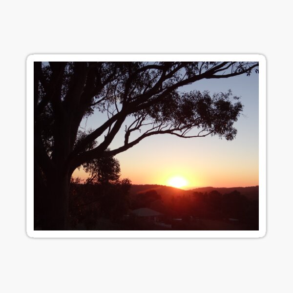 Item preview, Adelaide Hills At Sunset Through The Eucalyptus Trees designed and sold by exploramum.