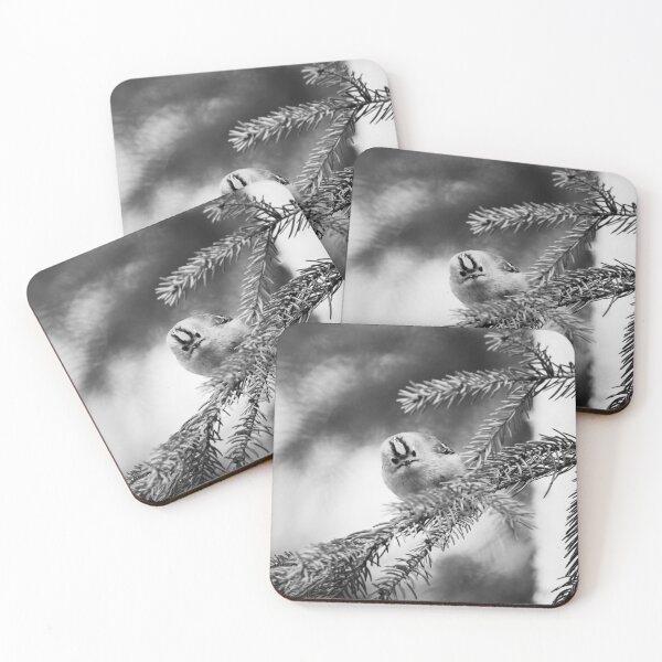 Item preview, Looking staright at you. Goldcrest bw designed and sold by Jouko Lehto Photography.
