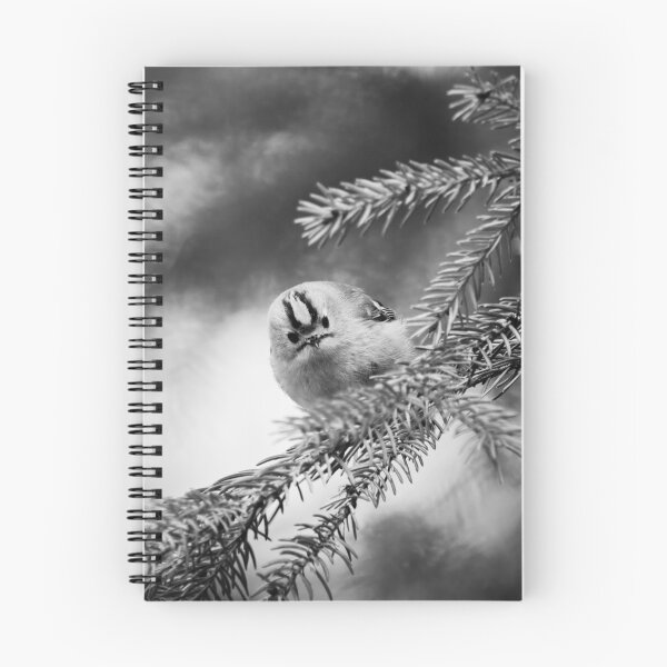 Item preview, Looking staright at you. Goldcrest bw designed and sold by Jouko Lehto Photography.