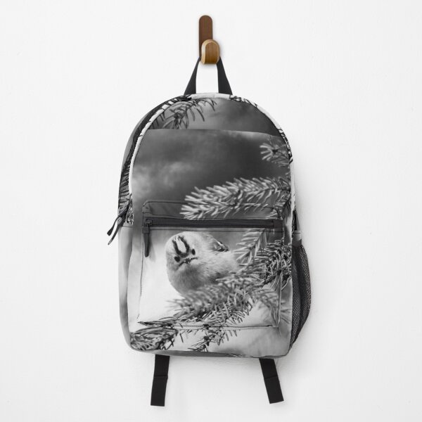 Item preview, Looking staright at you. Goldcrest bw designed and sold by Jouko Lehto Photography.