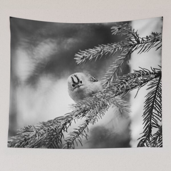 Item preview, Looking staright at you. Goldcrest bw designed and sold by Jouko Lehto Photography.