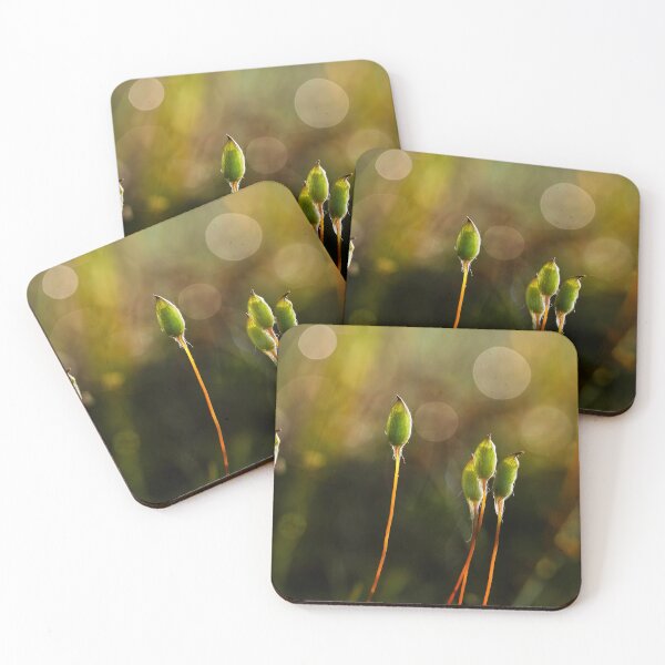 Item preview, New life from mosses designed and sold by Veikko  Suikkanen.