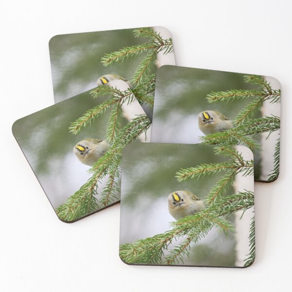 Item preview, Looking staright at you. Goldcrest designed and sold by Jouko Lehto Photography.