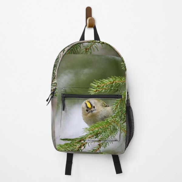 Item preview, Looking staright at you. Goldcrest designed and sold by Jouko Lehto Photography.