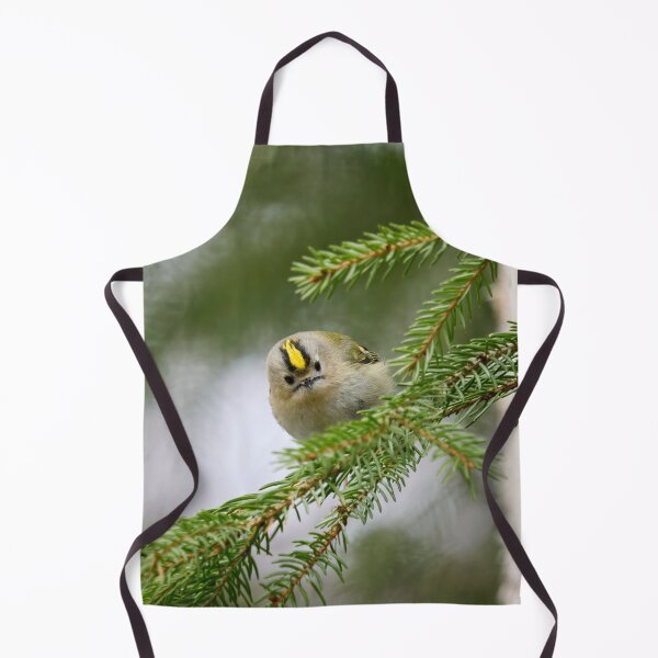 Item preview, Looking staright at you. Goldcrest designed and sold by Jouko Lehto Photography.