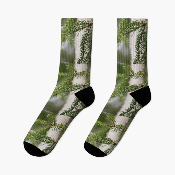Item preview, Looking staright at you. Goldcrest designed and sold by Jouko Lehto Photography.