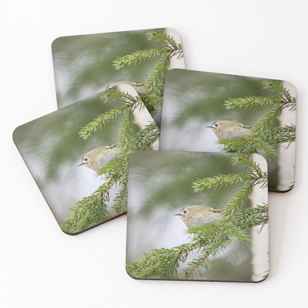 Item preview, Making a profile. Goldcrest designed and sold by Jouko Lehto Photography.