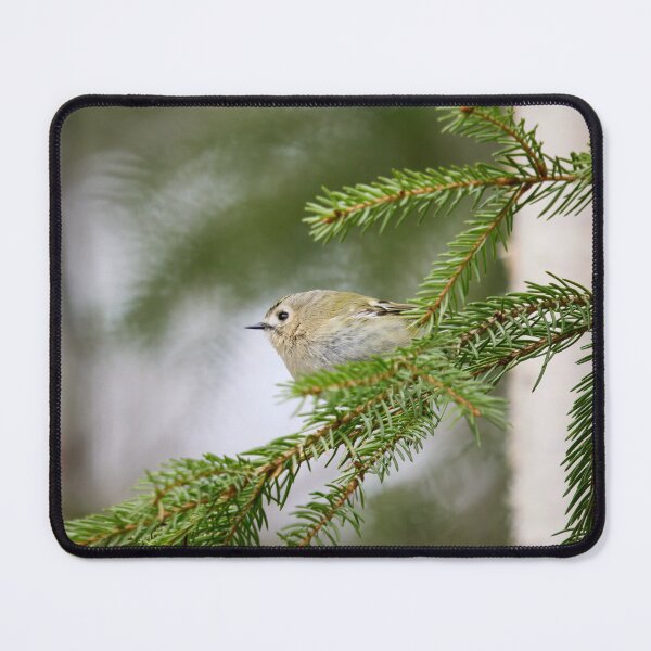 Item preview, Making a profile. Goldcrest designed and sold by Jouko Lehto Photography.