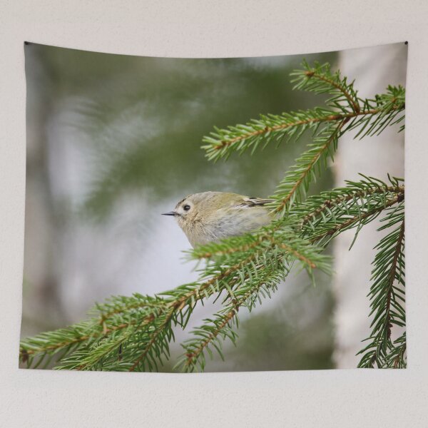 Item preview, Making a profile. Goldcrest designed and sold by Jouko Lehto Photography.