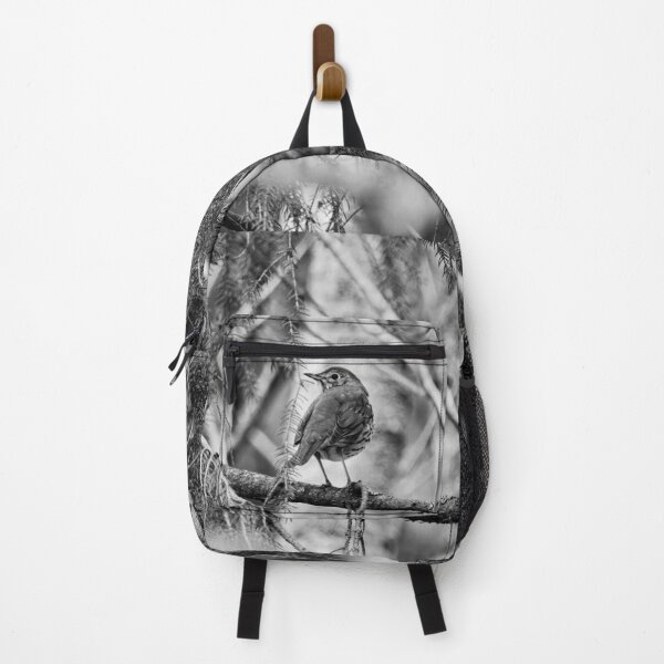 Item preview, Which way to go. Song thrush bw designed and sold by Jouko Lehto Photography.