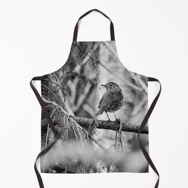 Item preview, Which way to go. Song thrush bw designed and sold by Jouko Lehto Photography.
