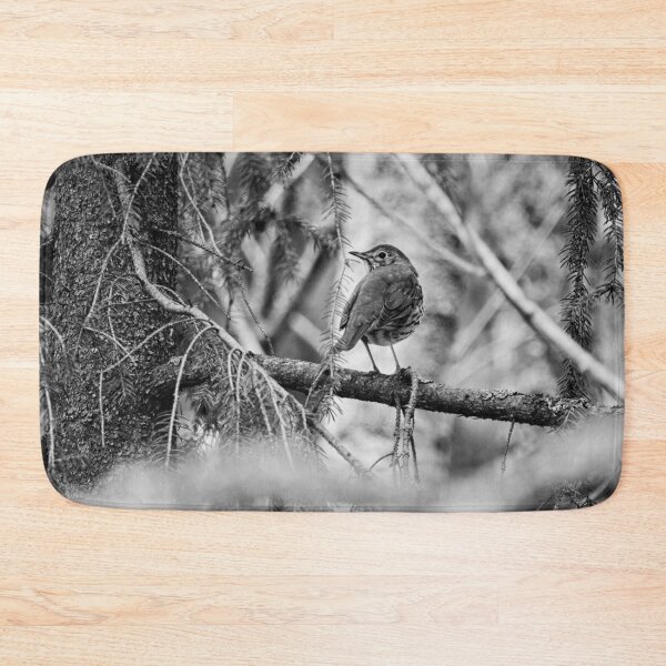 Item preview, Which way to go. Song thrush bw designed and sold by Jouko Lehto Photography.