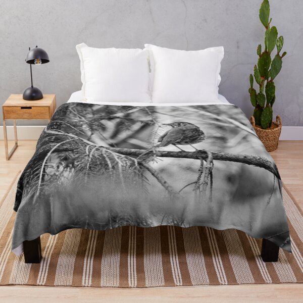 Item preview, Which way to go. Song thrush bw designed and sold by Jouko Lehto Photography.