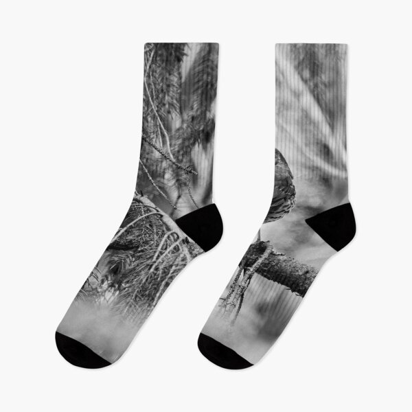 Item preview, Which way to go. Song thrush bw designed and sold by Jouko Lehto Photography.