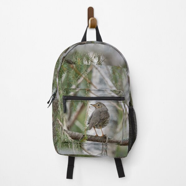 Item preview, Which way to go. Song thrush designed and sold by Jouko Lehto Photography.