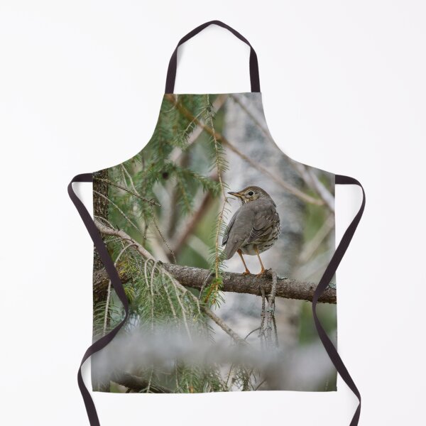 Item preview, Which way to go. Song thrush designed and sold by Jouko Lehto Photography.