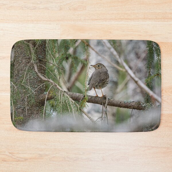 Item preview, Which way to go. Song thrush designed and sold by Jouko Lehto Photography.