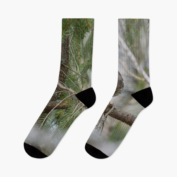 Item preview, Which way to go. Song thrush designed and sold by Jouko Lehto Photography.