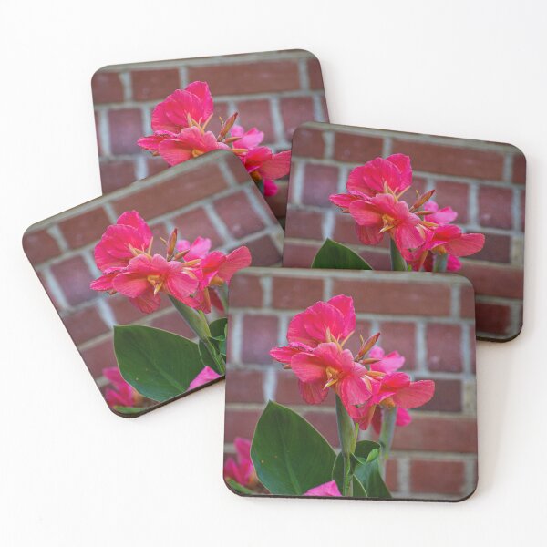 Item preview, Red Canna Lily Bloom Summer Flower Garden designed and sold by CaytlinEPhotos.