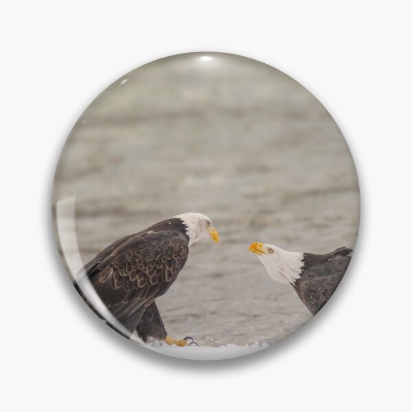 Item preview, Alaskan Standoff designed and sold by PhotoArt by Joan Carroll.