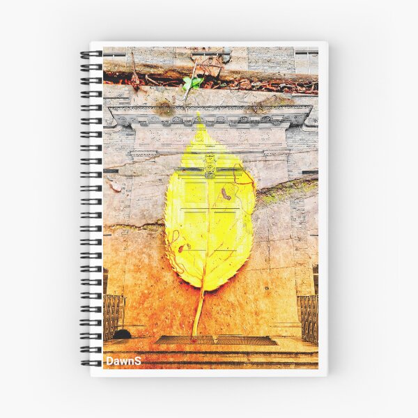 Item preview, What is behind the leaf and the door? designed and sold by dawnsm.