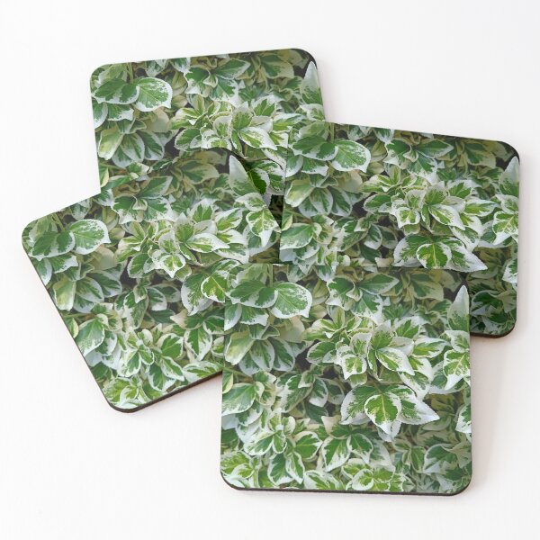 Item preview, Leaves, variegated  designed and sold by Oubaitory.