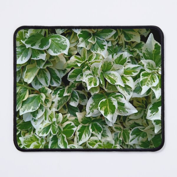 Item preview, Leaves, variegated  designed and sold by Oubaitory.