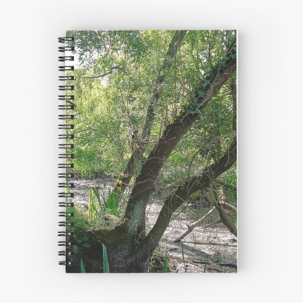 Item preview, Marshy peacefulness  designed and sold by Oubaitory.