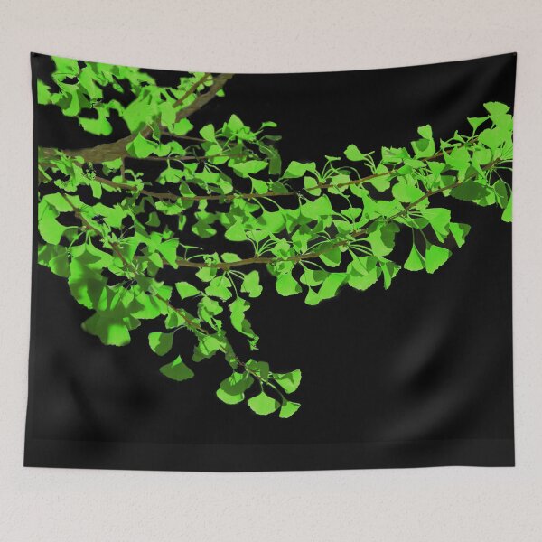 Item preview, Ginkgo on Black designed and sold by heatherfriedman.