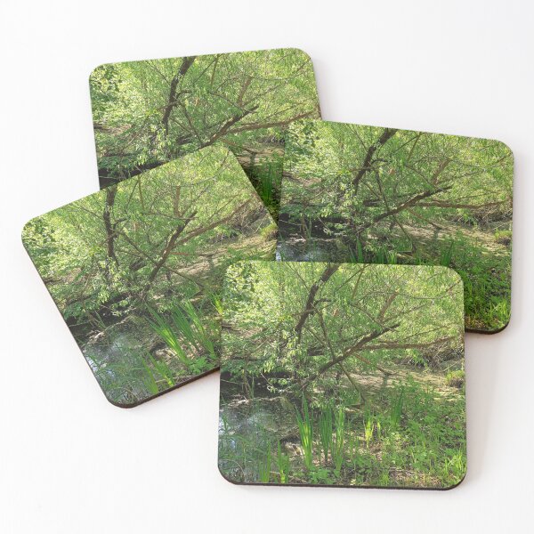Item preview, Marshy scene designed and sold by Oubaitory.