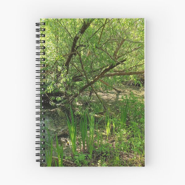 Item preview, Marshy scene designed and sold by Oubaitory.