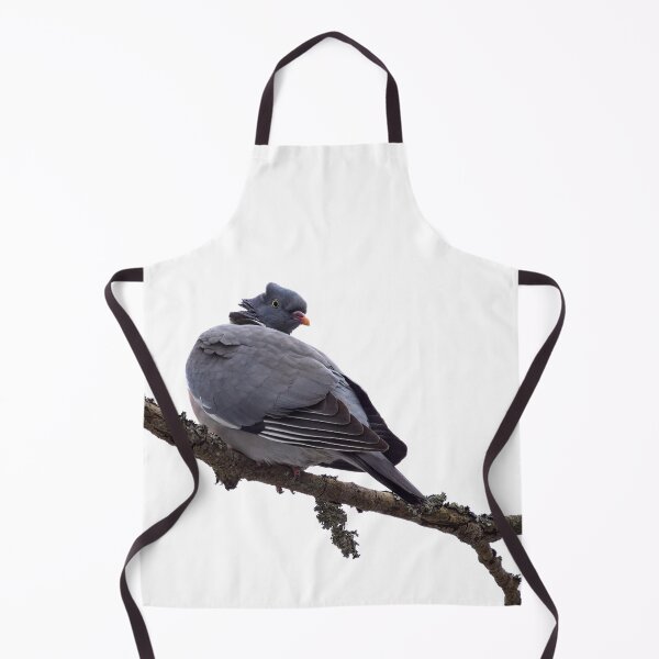 Item preview, Hair up. Common wood pigeon transparent designed and sold by Jouko Lehto Photography.