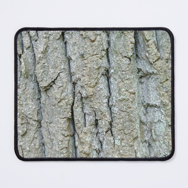 Item preview, Tree bark texture designed and sold by Oubaitory.