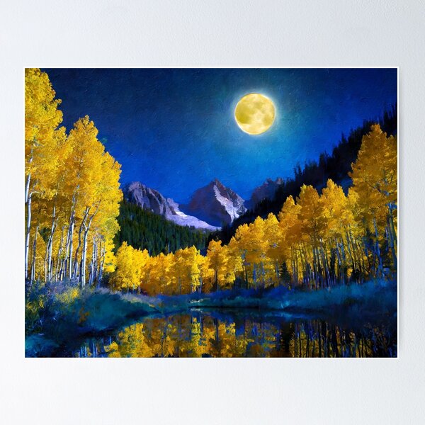 Reflections of Colorado Aspens Poster