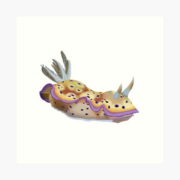 Item preview, Nudibranch - sea slug - Goniobranchus kuniei designed and sold by Poulpimousse.