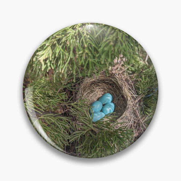Item preview, 4 robin eggs today! designed and sold by distracted.