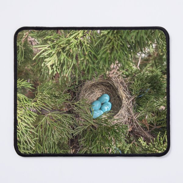 Item preview, 4 robin eggs today! designed and sold by distracted.
