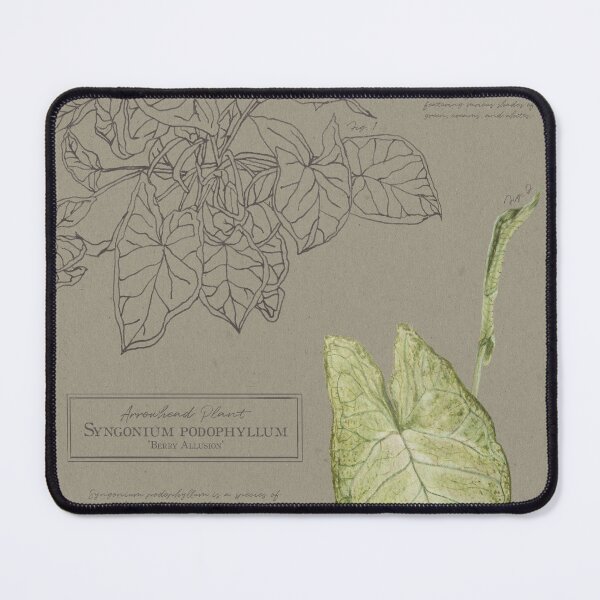 Item preview, Arrowhead Plant Vine | Syngonium Podophyllum Botanical Illustration designed and sold by Jennifer Walsh Design.