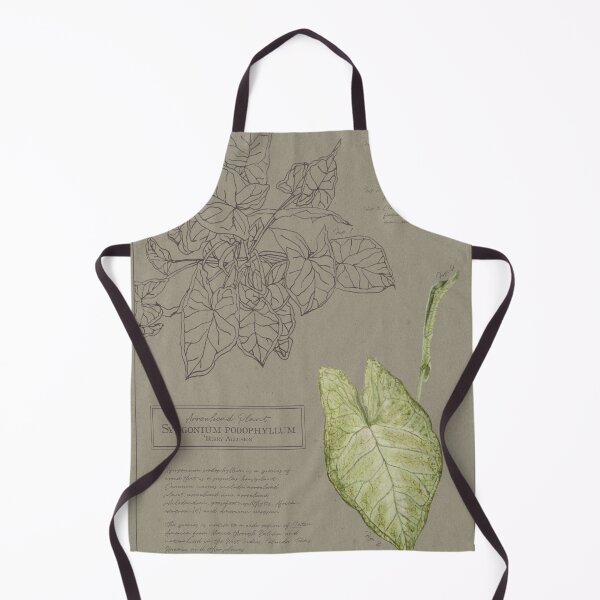 Item preview, Arrowhead Plant Vine | Syngonium Podophyllum Botanical Illustration designed and sold by Jennifer Walsh Design.
