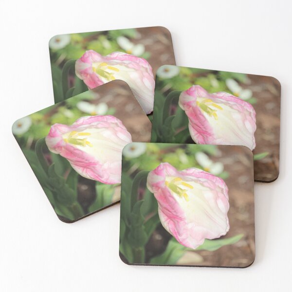 Item preview, Delicate Pink Tulip designed and sold by Cynthia48.