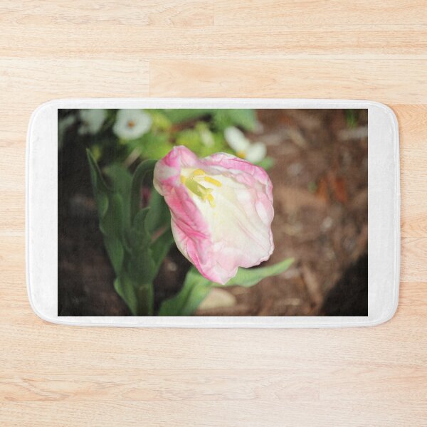 Item preview, Delicate Pink Tulip designed and sold by Cynthia48.