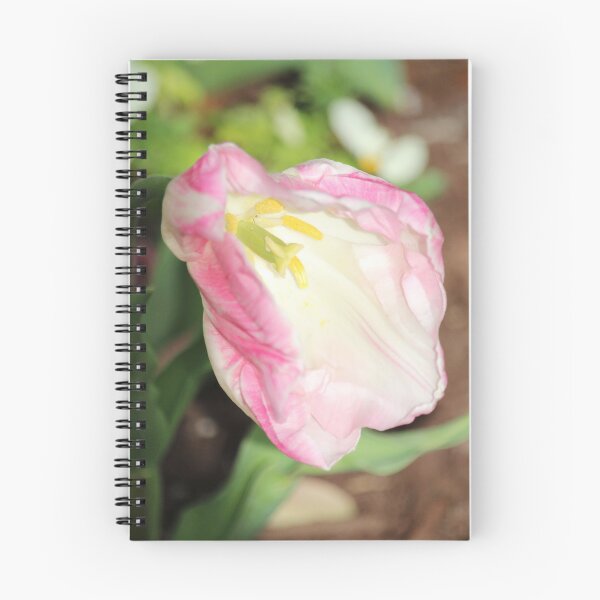 Item preview, Delicate Pink Tulip designed and sold by Cynthia48.