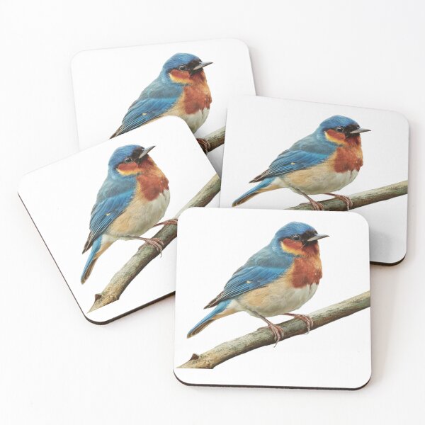 Item preview,  VINTAGE BLUEBIRD designed and sold by Tomci0.