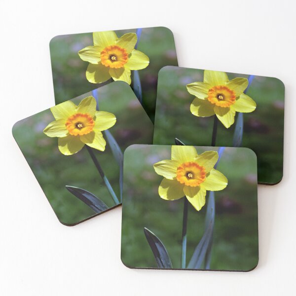 Item preview, Daffodil designed and sold by Tom McPherson Photography.
