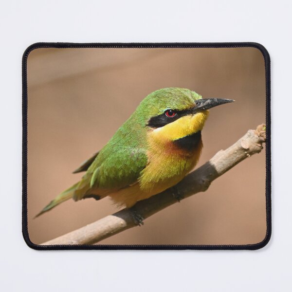 Item preview, dwarf bee-eater designed and sold by JIM-AND-ME.