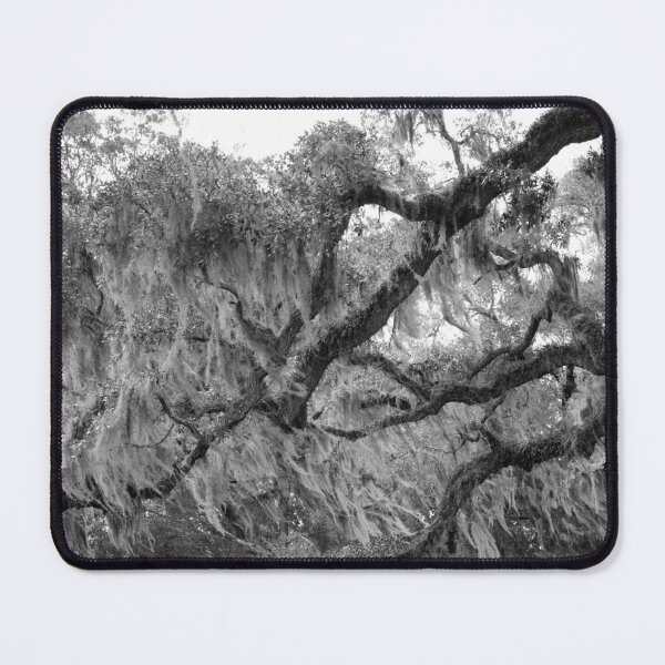 Item preview, Oak Tree With Spanish Moss designed and sold by Cynthia48.