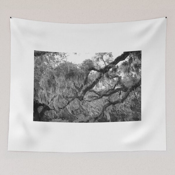 Item preview, Oak Tree With Spanish Moss designed and sold by Cynthia48.