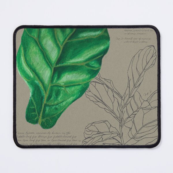 Item preview, Ficus Lyrata | Fiddle Leaf Fig | Botanical Illustration designed and sold by Jennifer Walsh Design.