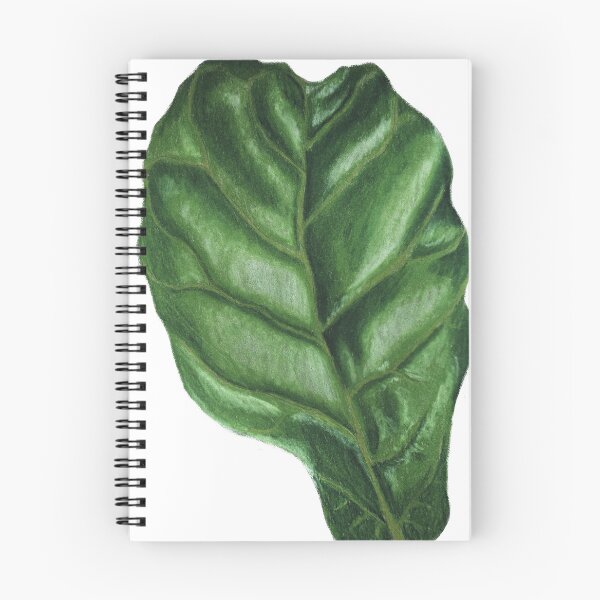 Item preview, Ficus Lyrata | Fiddle Leaf Fig | Leaf Only designed and sold by Jennifer Walsh Design.
