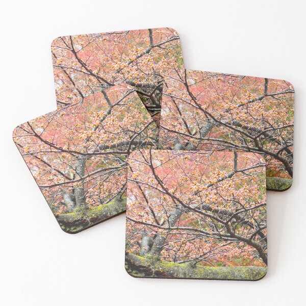 Item preview, Cherry blossoms designed and sold by swan2sky.